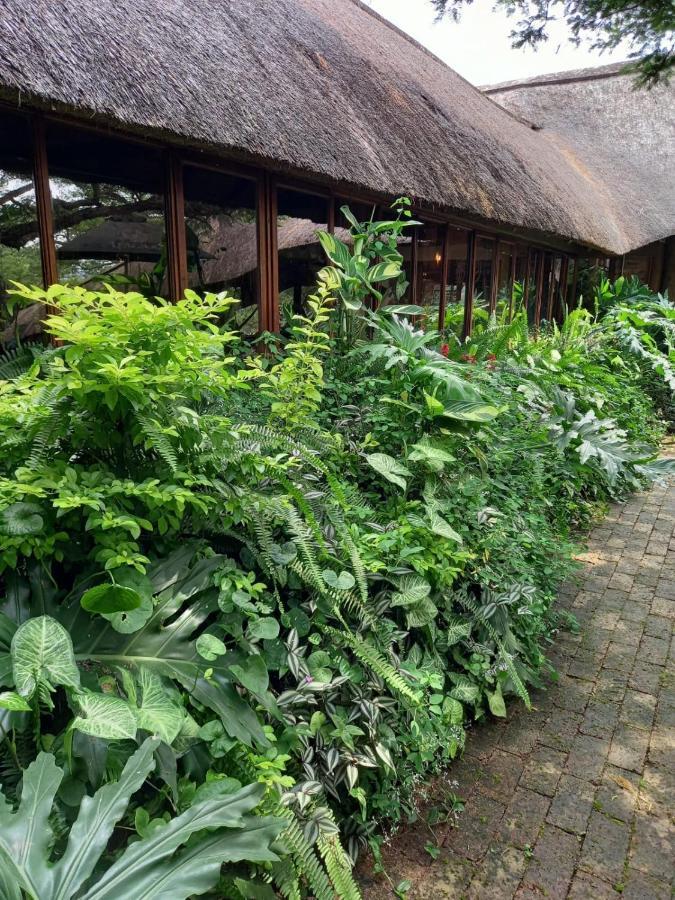 Ascot Bush Lodge ピーターマリッツバーグ エクステリア 写真