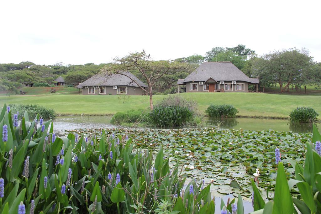 Ascot Bush Lodge ピーターマリッツバーグ エクステリア 写真