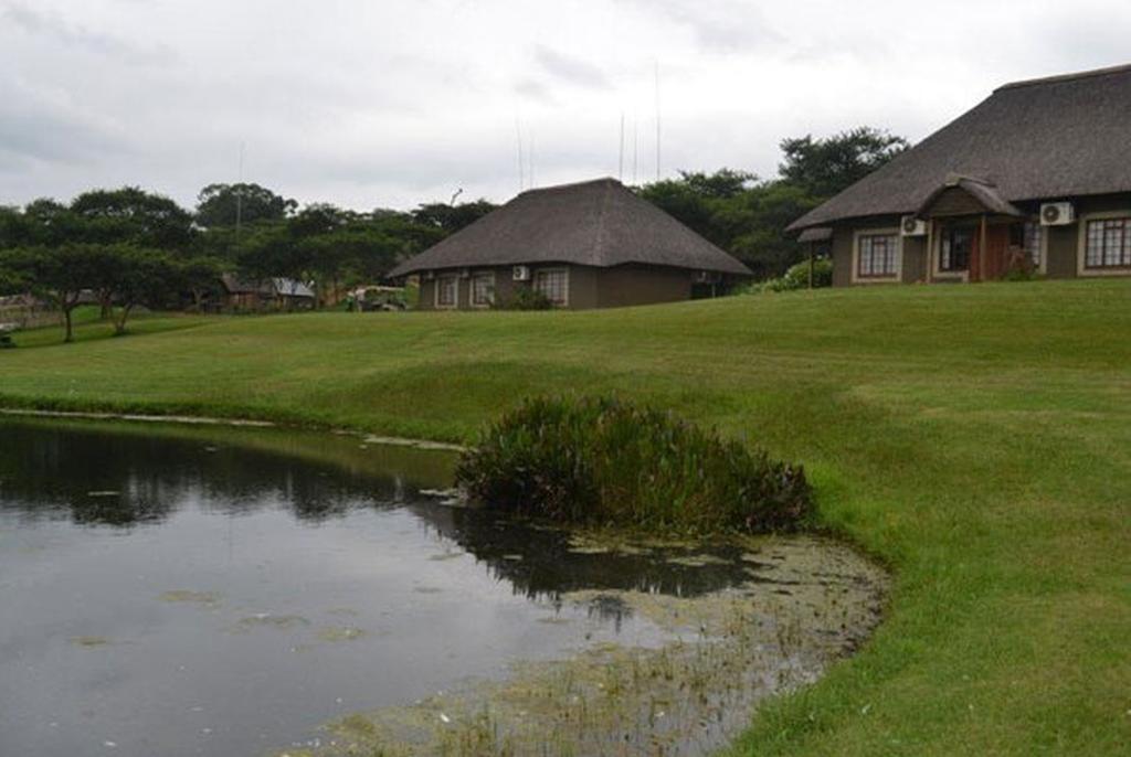 Ascot Bush Lodge ピーターマリッツバーグ エクステリア 写真